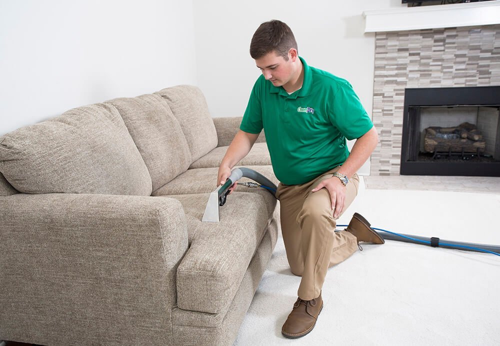 upholsterycleaning upholstery cleaning on couch
